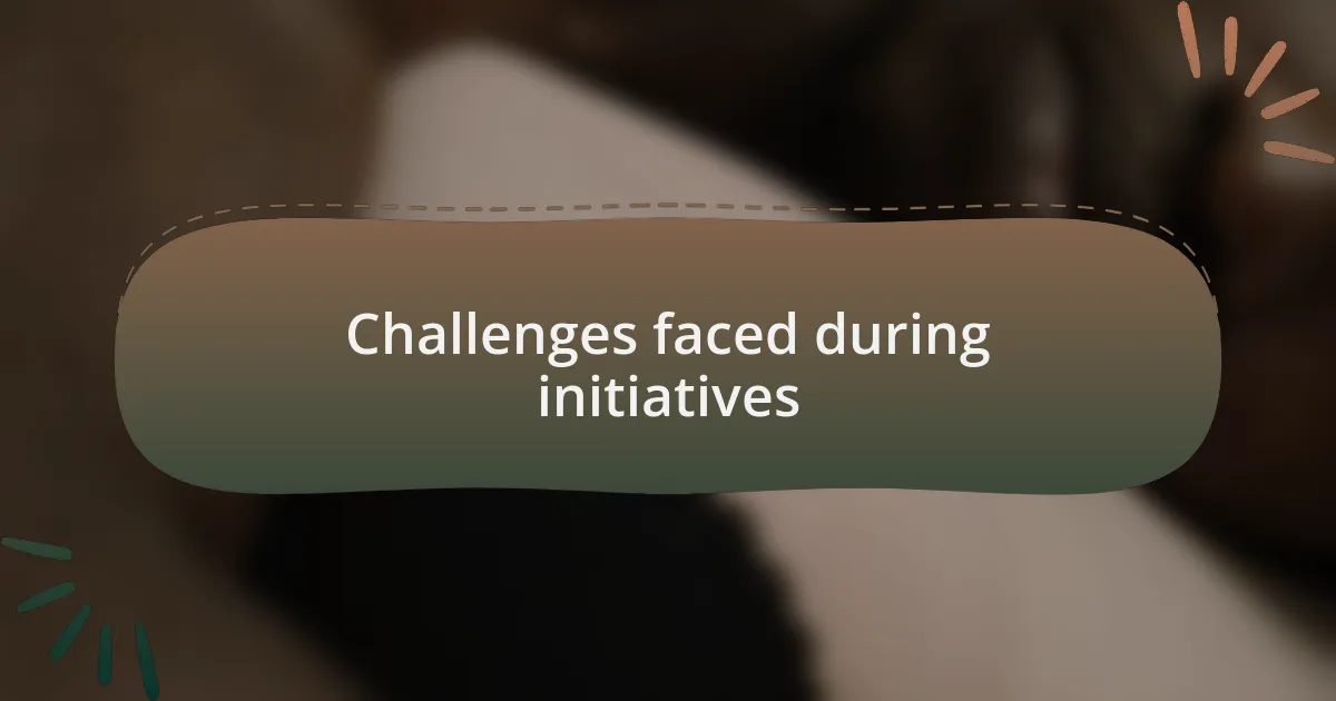 Challenges faced during initiatives