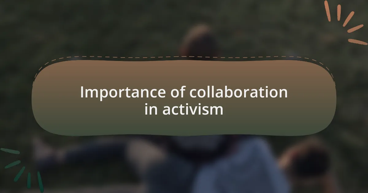 Importance of collaboration in activism
