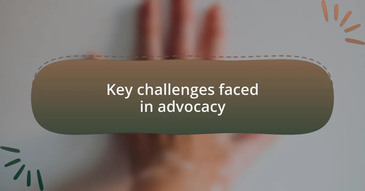 Key challenges faced in advocacy