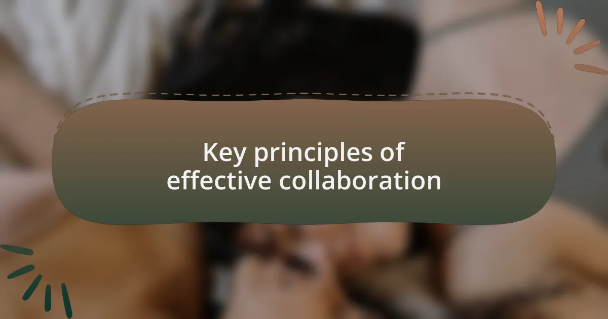 Key principles of effective collaboration