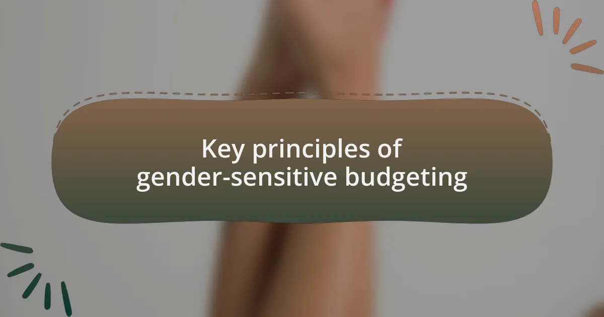 Key principles of gender-sensitive budgeting