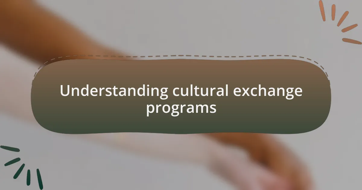 Understanding cultural exchange programs