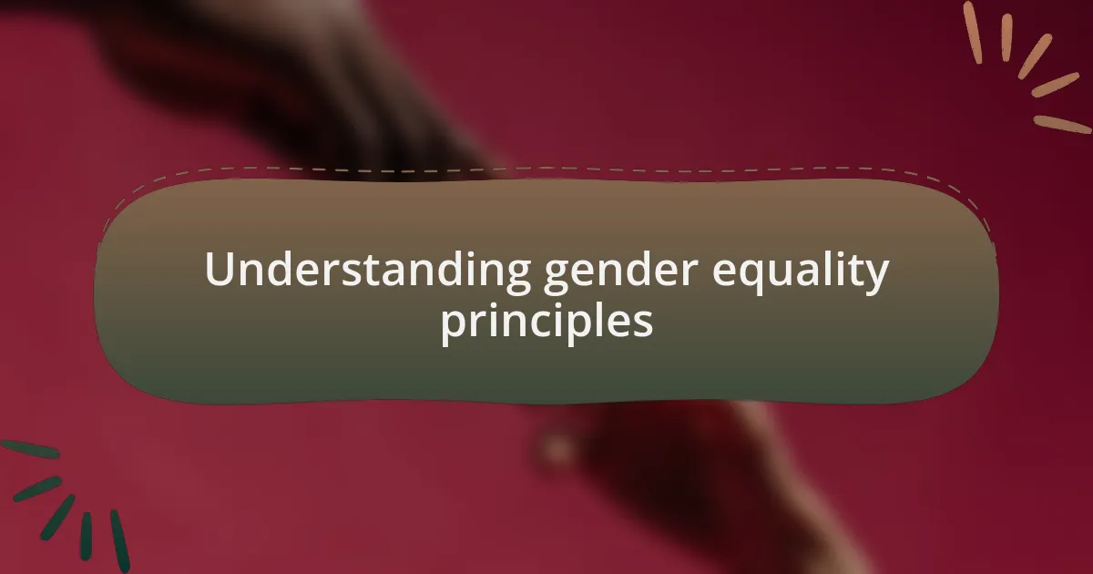 Understanding gender equality principles